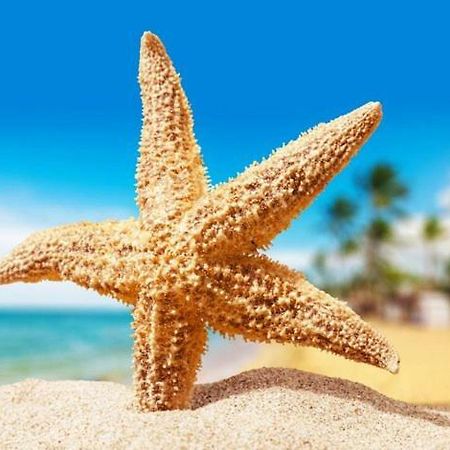 Sea Star Apartments Odessa Buitenkant foto